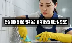안성에어컨청소 입주청소 세탁기청소 대한깔끔크린