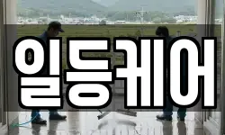 일등케어
