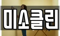 미소클린