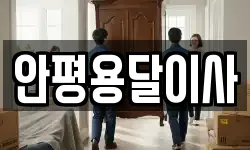안평용달이사
