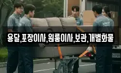 용달,포장이사,원룸이사,보관,개별화물