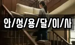 안/성/용/달/이/사