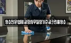 청소전문업체공장사무실상가준공크린룸청소