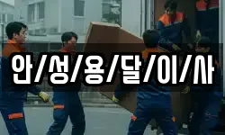 안/성/용/달/이/사