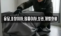 용달,포장이사,원룸이사,보관,개별화물