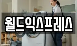 월드익스프레스