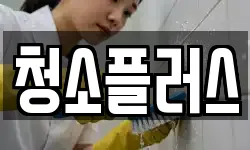 청소플러스