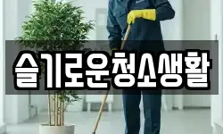 슬기로운청소생활
