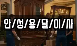 안/성/용/달/이/사