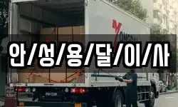 안/성/용/달/이/사