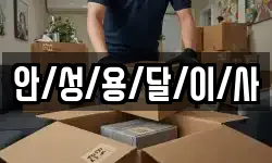 안/성/용/달/이/사