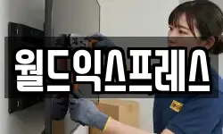 월드익스프레스