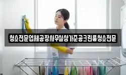 청소전문업체공장사무실상가준공크린룸청소전문