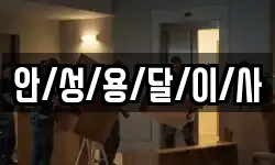안/성/용/달/이/사