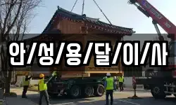 안/성/용/달/이/사