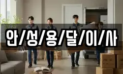 안/성/용/달/이/사