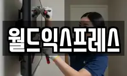 월드익스프레스