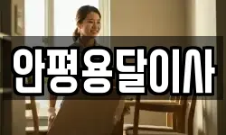 안평용달이사