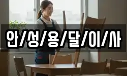 안/성/용/달/이/사