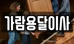 가람용달이사