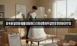 충북용달이사원룸이사사다리차소형사무실반포장이사이삿짐
