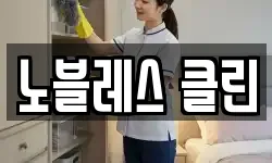 노블레스 클린