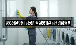 청소전문업체공장사무실상가준공크린룸청소