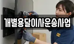 개별용달이사운송사업