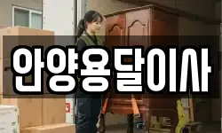안양용달이사