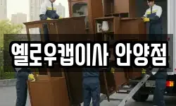 옐로우캡이사 안양점