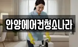 경기도 안양시 동안구 비산동 청소,입주청소,사무실청소,에어컨청소