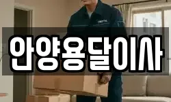 안양용달이사