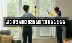 체리클린 침대매트리스 소파 카페트 청소 안양점
