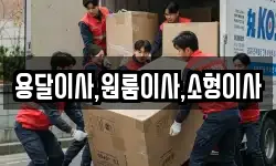 용달이사,원룸이사,소형이사