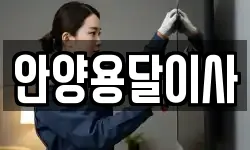 안양용달이사