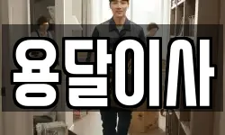 용달이사