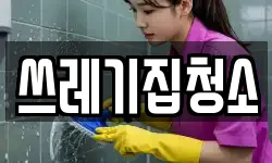 쓰레기집청소
