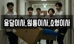 용달이사,원룸이사,소형이사