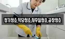 정기청소,식당청소,사무실청소,공장청소