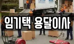 임기택 용달이사