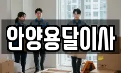 안양용달이사
