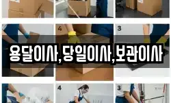 용달이사,당일이사,보관이사