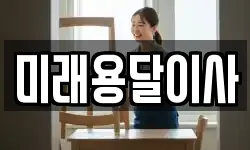 미래용달이사