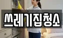 쓰레기집청소