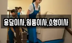 용달이사,원룸이사,소형이사