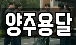 양주용달