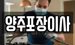 경기도 양주시 고읍동 이사,용달이사,포장이사,원룸이사,보관이사