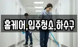 홈케어,입주청소,하수구