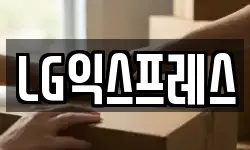 LG익스프레스