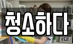 청소하다